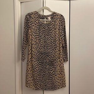JCrew Animal Print Shift Dress / Size 2